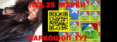 крисы Кулебаки