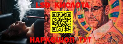 крисы Кулебаки