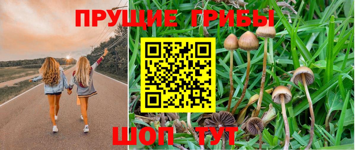 Галлюциногенные грибы мицелий Елабуга
