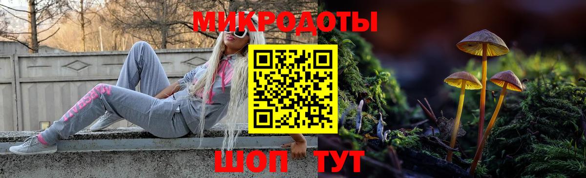 Елабуга  Псилоцибиновые грибы ЛСД  Вход с VPN  Галлюциногенные грибы Psilocybe 